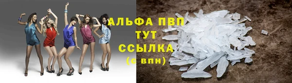амф Липки