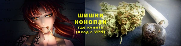 соль ск Лиски