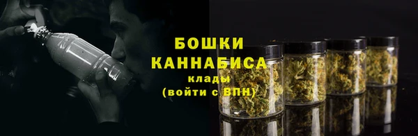 амф Липки