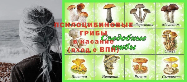 соль ск Лиски