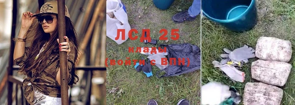 амф Липки