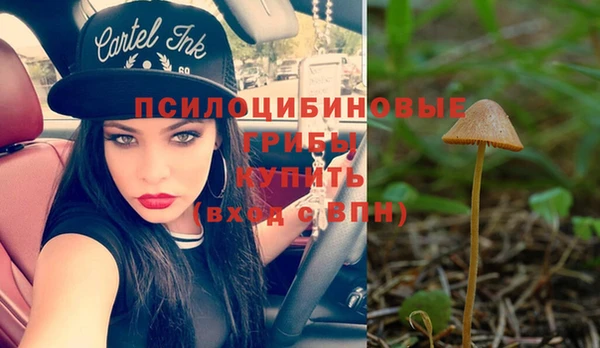 амф Липки