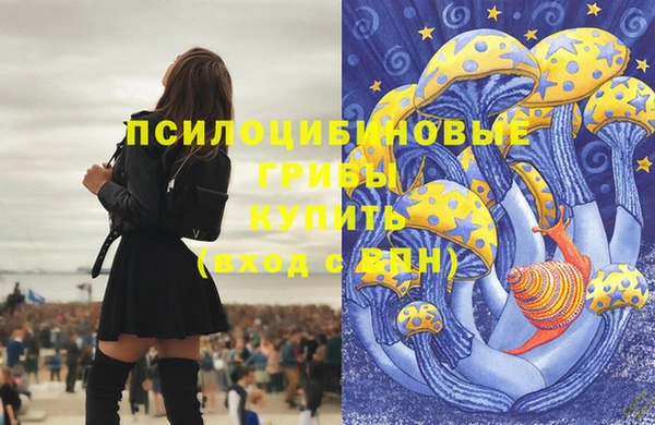 соль ск Лиски