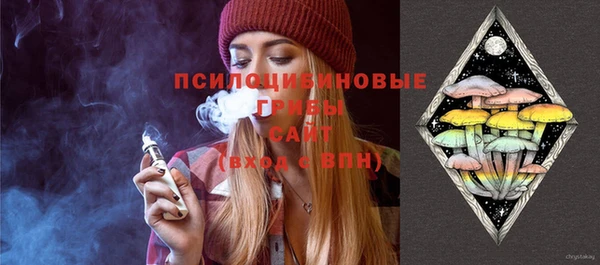 амф Липки