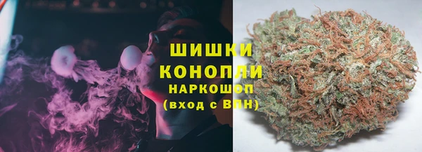 гидропоника Пионерский