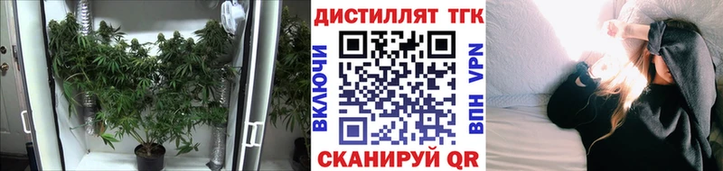 ТГК концентрат  магазин  наркотиков  Сусуман 
