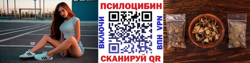 купить наркотик  Сусуман  Галлюциногенные грибы GOLDEN TEACHER 